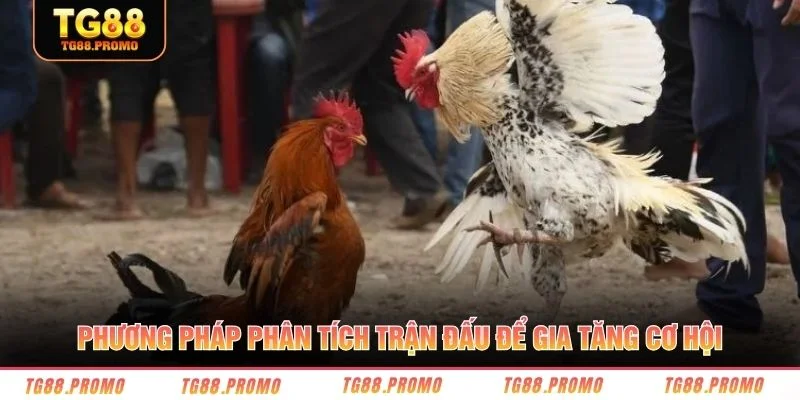 Phương pháp phân tích trận đấu để gia tăng cơ hội